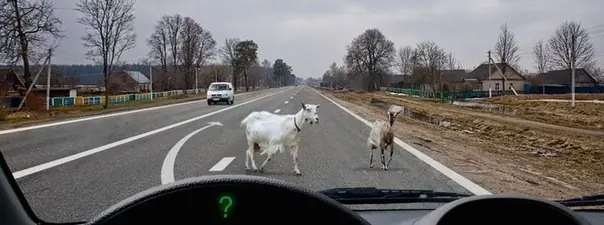 Иллюстрация к вопросу ПДД