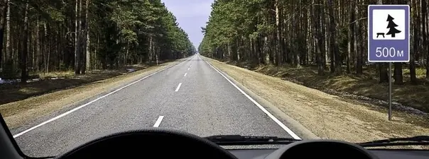 Иллюстрация к вопросу ПДД