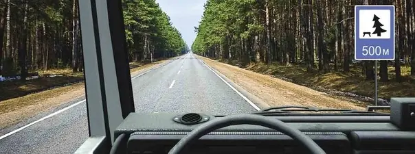 Иллюстрация к вопросу ПДД